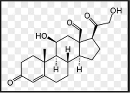 Aldosteron